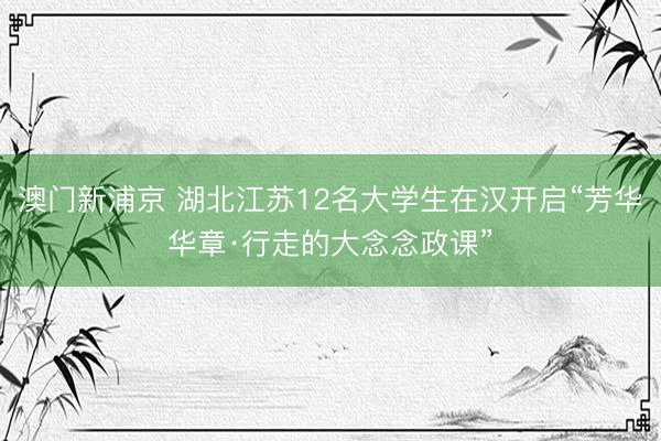 澳門新浦京 湖北江蘇12名大學(xué)生在漢開啟“芳華華章·行走的大念念政課”